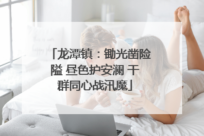 龙潭镇：锄光凿险隘 昼色护安澜 干群同心战汛魔