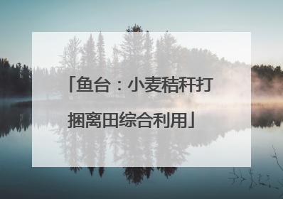 鱼台：小麦秸秆打捆离田综合利用