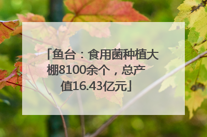 鱼台：食用菌种植大棚8100余个，总产值16.43亿元