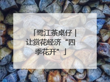 鹭江茶桌仔｜让赏花经济“四季花开”