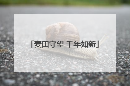 麦田守望 千年如新
