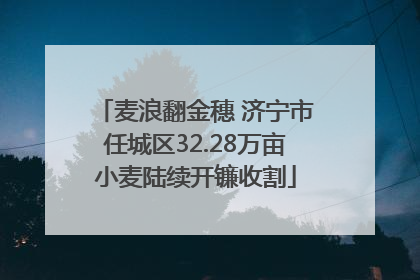 麦浪翻金穗 济宁市任城区32.28万亩小麦陆续开镰收割