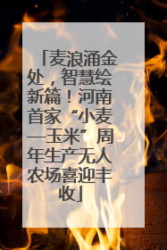 麦浪涌金处，智慧绘新篇！河南首家“小麦—玉米”周年生产无人农场喜迎丰收