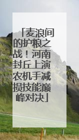 麦浪间的护粮之战！河南封丘上演农机手减损技能巅峰对决