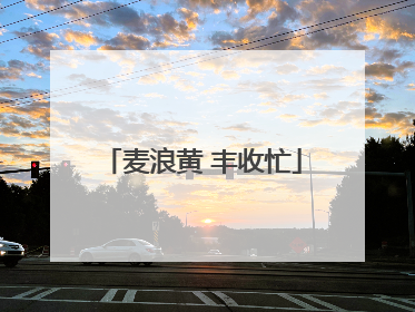 麦浪黄 丰收忙