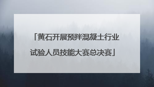 黄石开展预拌混凝土行业试验人员技能大赛总决赛
