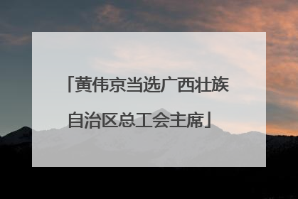 黄伟京当选广西壮族自治区总工会主席