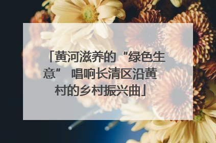 黄河滋养的“绿色生意” 唱响长清区沿黄村的乡村振兴曲
