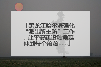 黑龙江哈尔滨强化“派出所主防”工作，让平安建设触角延伸到每个角落……