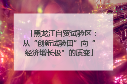 黑龙江自贸试验区：从“创新试验田”向“经济增长极”的质变