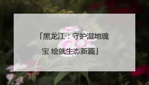 黑龙江：守护湿地瑰宝 绘就生态新篇