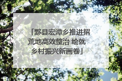 黟县宏潭乡推进撂荒地高效整治 绘就乡村振兴新画卷