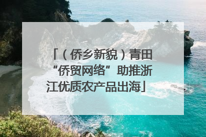 （侨乡新貌）青田“侨贸网络”助推浙江优质农产品出海