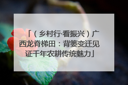（乡村行·看振兴）广西龙脊梯田：背篓变迁见证千年农耕传统魅力