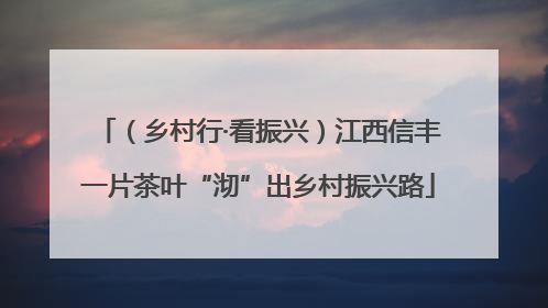 （乡村行·看振兴）江西信丰一片茶叶“沏”出乡村振兴路