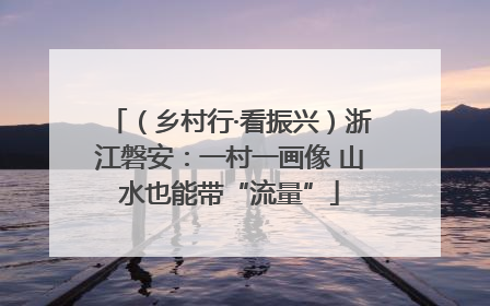（乡村行·看振兴）浙江磐安：一村一画像 山水也能带“流量”