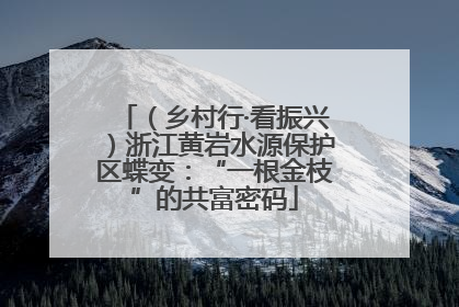 （乡村行·看振兴）浙江黄岩水源保护区蝶变：“一根金枝”的共富密码