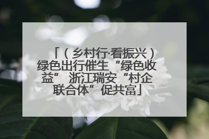 （乡村行·看振兴）绿色出行催生“绿色收益” 浙江瑞安“村企联合体”促共富