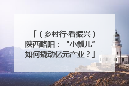 （乡村行·看振兴）陕西略阳：“小瓢儿”如何撬动亿元产业？