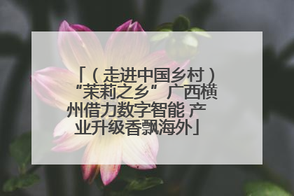 （走进中国乡村）“茉莉之乡”广西横州借力数字智能 产业升级香飘海外