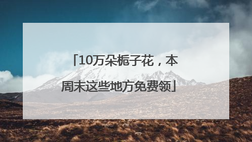10万朵栀子花，本周末这些地方免费领