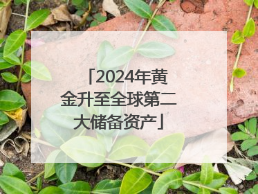 2024年黄金升至全球第二大储备资产