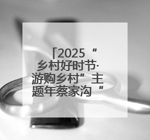 2025“乡村好时节·游购乡村”主题年蔡家沟“艺韵乡集·乐活时光”艺文嘉年华活动启幕