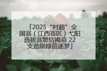 2025“村超”全国赛（江西赛区）弋阳选拔赛燃情揭幕 22支劲旅绿茵逐梦