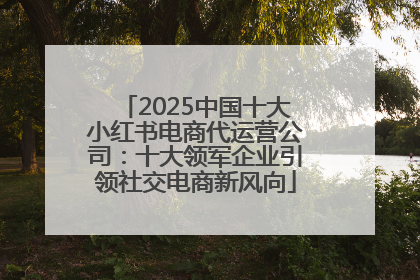 2025中国十大小红书电商代运营公司：十大领军企业引领社交电商新风向