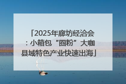 2025年廊坊经洽会：小箱包“圈粉”大咖 县域特色产业快速出海
