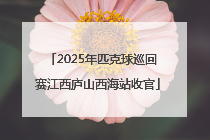 2025年匹克球巡回赛江西庐山西海站收官