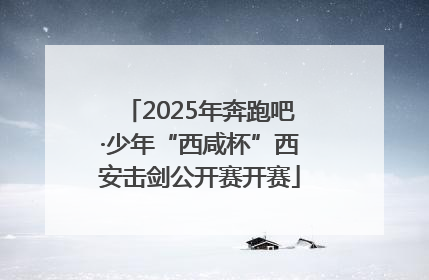 2025年奔跑吧·少年“西咸杯”西安击剑公开赛开赛