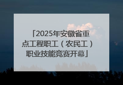 2025年安徽省重点工程职工（农民工）职业技能竞赛开幕