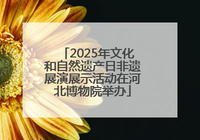 2025年文化和自然遗产日非遗展演展示活动在河北博物院举办