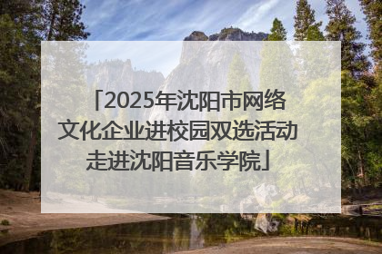 2025年沈阳市网络文化企业进校园双选活动走进沈阳音乐学院