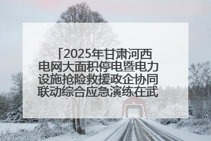 2025年甘肃河西电网大面积停电暨电力设施抢险救援政企协同联动综合应急演练在武威成功举行
