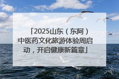 2025山东（东阿）中医药文化旅游体验周启动，开启健康新篇章