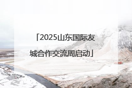 2025山东国际友城合作交流周启动