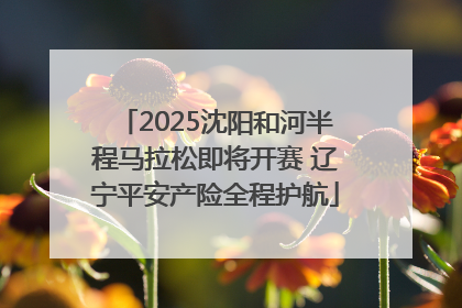 2025沈阳和河半程马拉松即将开赛 辽宁平安产险全程护航