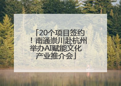 20个项目签约！南通崇川赴杭州举办AI赋能文化产业推介会