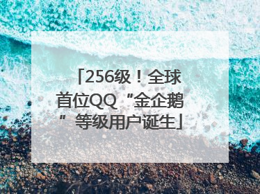 256级！全球首位QQ“金企鹅”等级用户诞生
