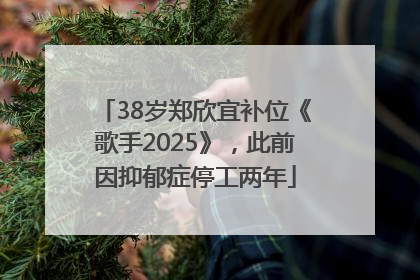 38岁郑欣宜补位《歌手2025》，此前因抑郁症停工两年