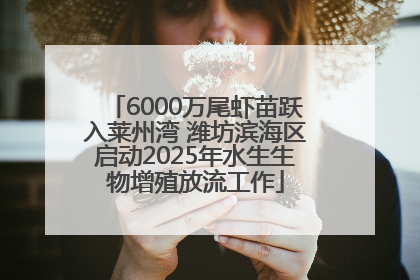 6000万尾虾苗跃入莱州湾 潍坊滨海区启动2025年水生生物增殖放流工作
